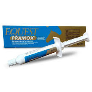 Equest Pramox 12g