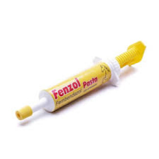 Fenzol Pasta 20g