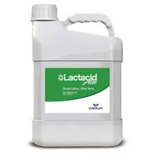 Lactacid Aloe 5l