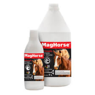 Maghorse Shampoo 5l