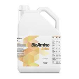 Recover Bioamino 5 lt