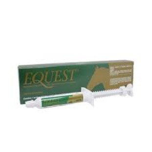 Equest 12g 